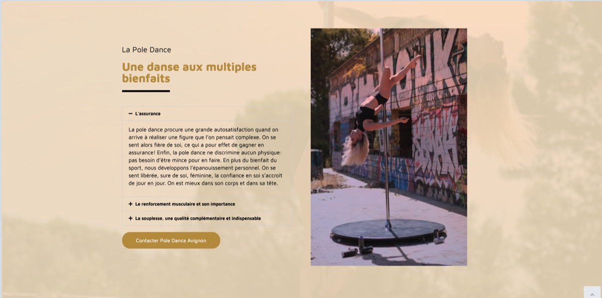 Pole Dance Avignon, réalisation d’Exoticom